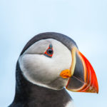 Website Game Bola Terpercaya di Indonesia